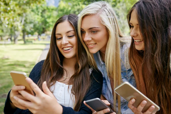 Mit Impulio deinen Social Media Redaktionsplan effizient verwalten
